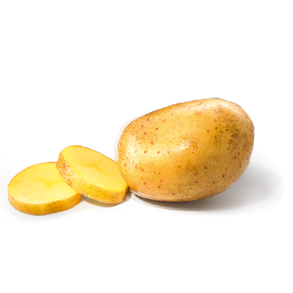 Aardappel